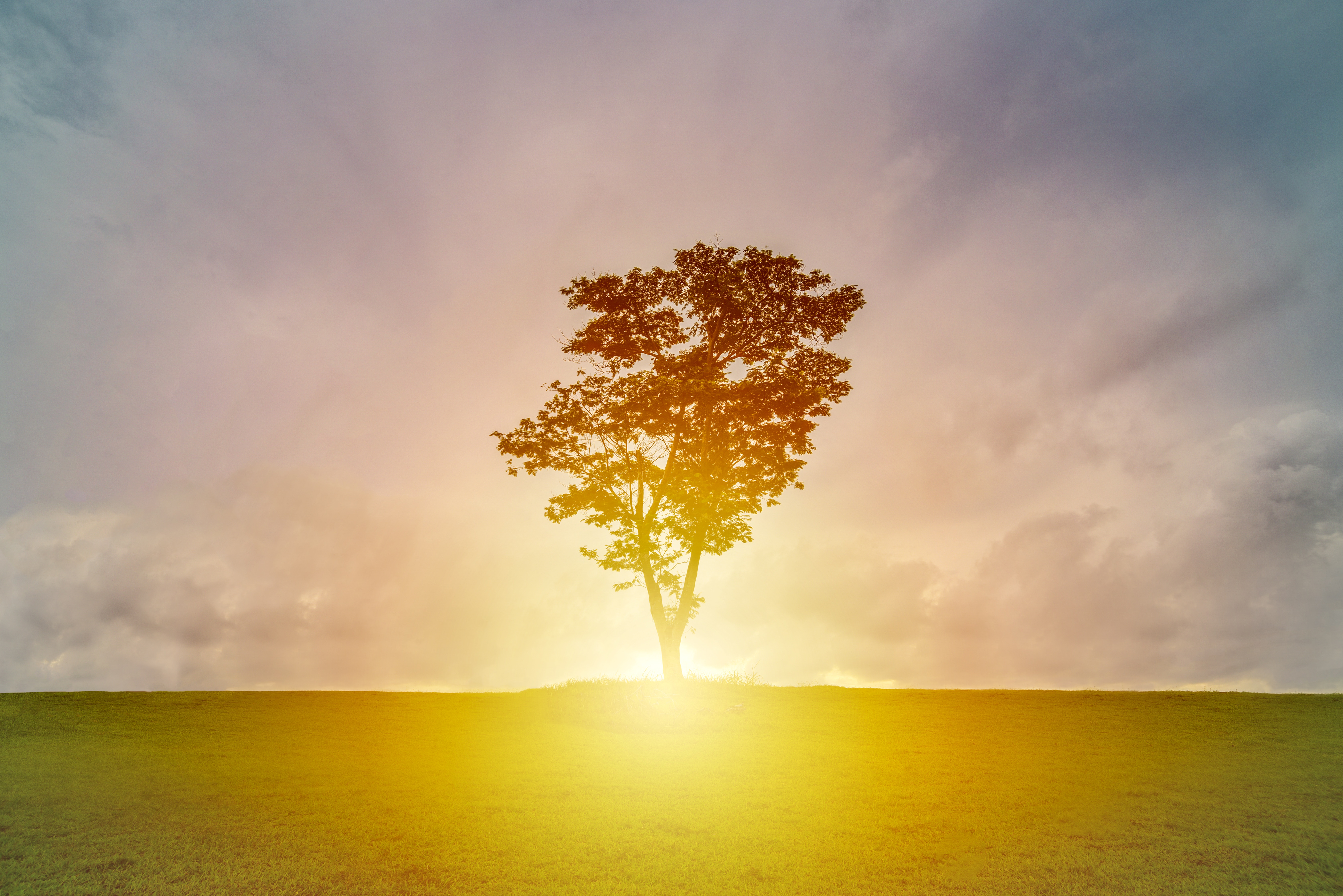 Trauma Therapy Near Me In Oak Park Michigan