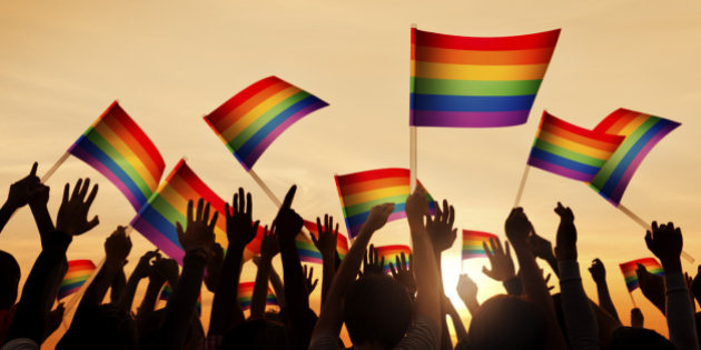 Lgbtq Affirming Therapist Near Me In Oak Park Mi